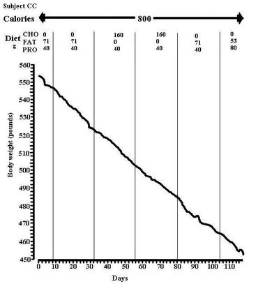 Daily Weight Loss Graph